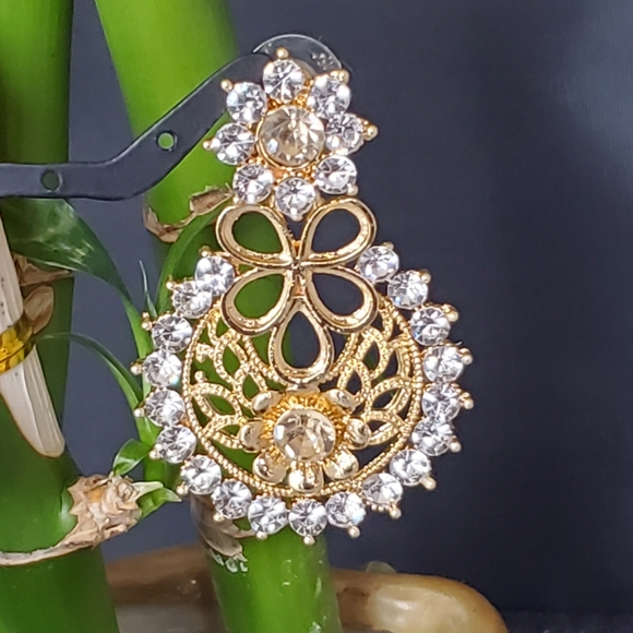 Fancy Earring - Picture 2 of 2